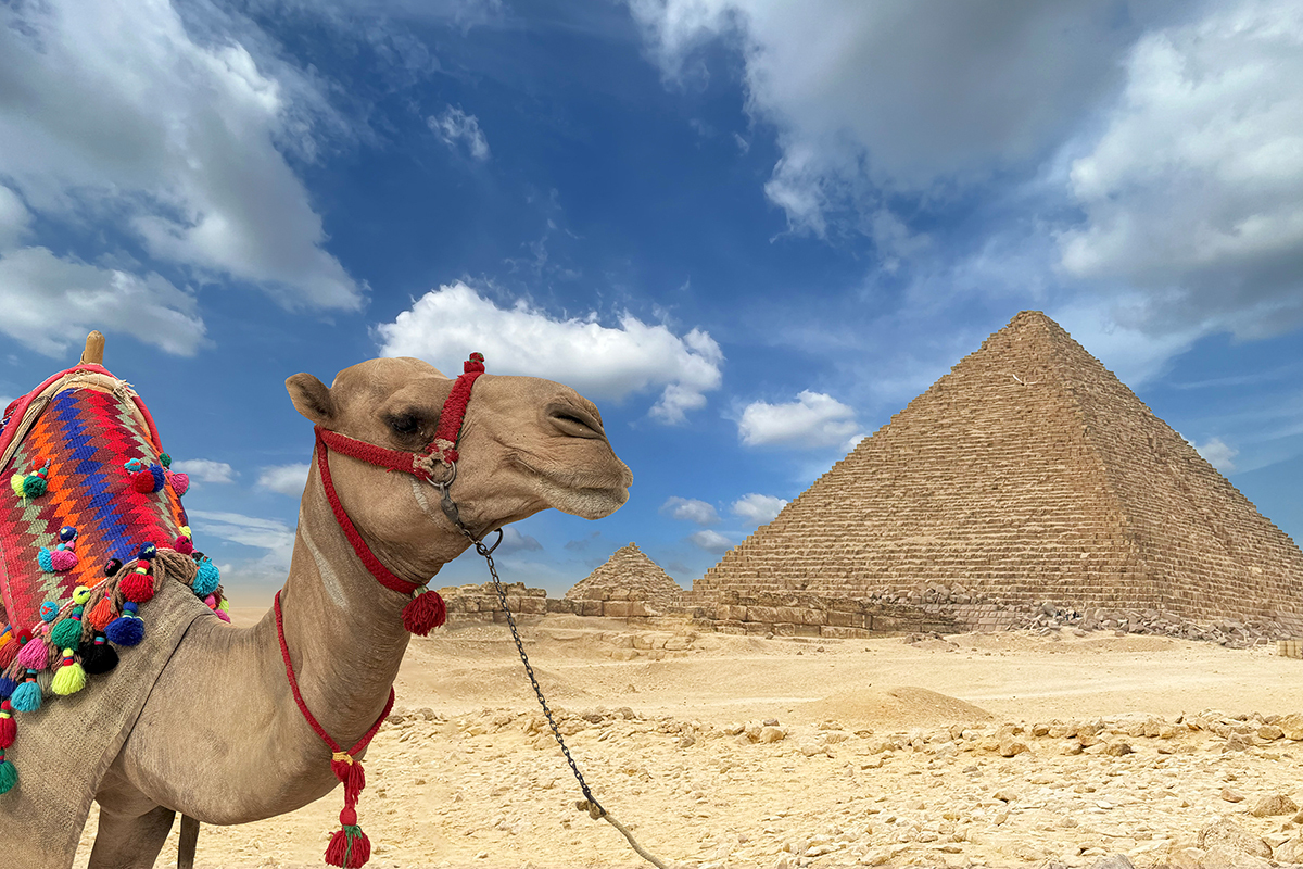 MITRE ATT&CK, TTPs, and the Pyramid of Pain (1200)